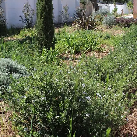 别墅 Colittacarrafa