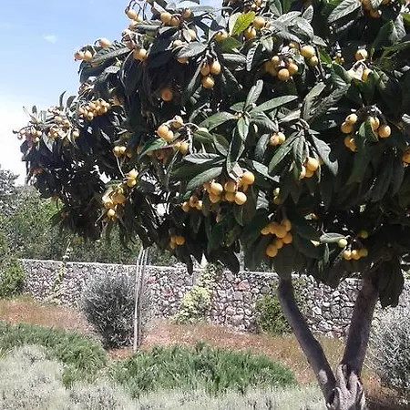 别墅 Colittacarrafa