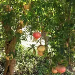 Colittacarrafa Villa