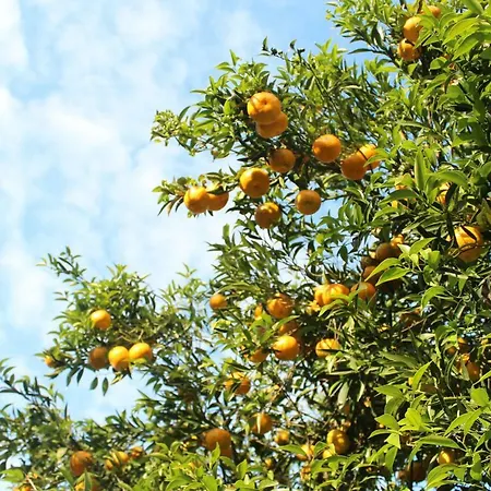 Willa Colittacarrafa Galatone