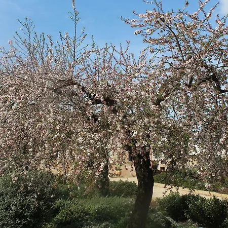 Colittacarrafa וילה