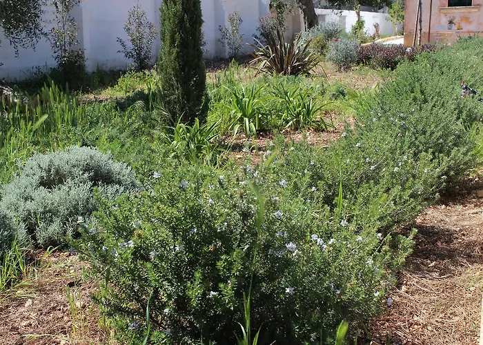 Villa Colittacarrafa